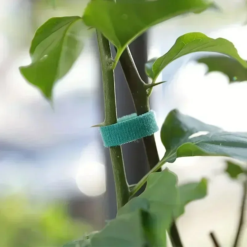 1/100 متر قابل للتعديل نبات ذا - مراجعة Gear Tie Reusable وسعره
